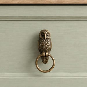 May include: A bronze-toned metal drawer pull shaped like an owl with detailed feather textures. The owl is perched above a circular ring handle. The hardware is mounted on a flat, light sage green wooden surface with a horizontal wood grain texture.