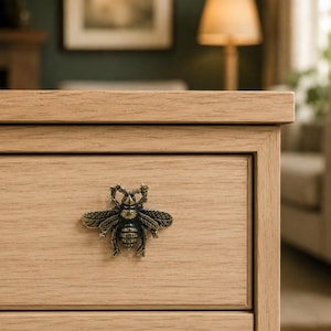 May include: A brass-toned metal drawer pull shaped like a detailed beetle with textured wings and legs. The insect-shaped hardware is mounted on the front of a light-colored wooden drawer, featuring a prominent grain pattern and a flat top edge.