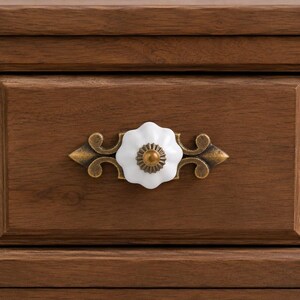 Vintage Bronze Ceramic Cabinet Knobs with Ornate Backplate, Bohemian Kitchen Hardware