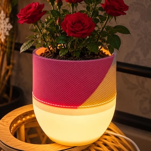 Op de afbeelding: Een cilindervormige plantenbak met een textuur in roze en geel aan de bovenkant en een oplichtende witte basis, met daarin een rozenplant met meerdere felrode bloemen en groene bladeren, verbonden met een wit stroomsnoer aan de onderkant.