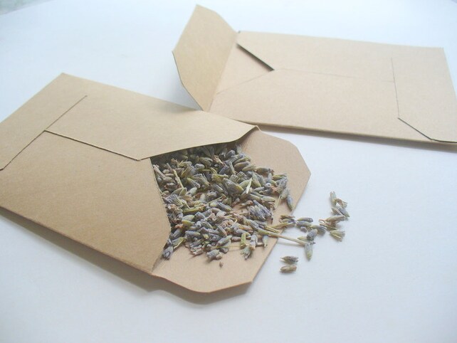 kraft confetti envelopes just
