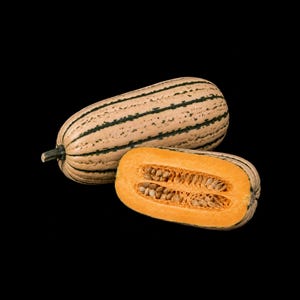 Op de afbeelding: Een hele Delicata-pompoen en een doorgesneden Delicata-pompoenhelft ervoor. De pompoen heeft een crèmekleurige schil met donkergroene lengtestrepen. De dwarsdoorsnede toont een feloranje binnenkant gevuld met lichtbruine pompoenpitten.