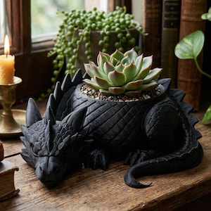 Puede incluir: Una maceta con forma de dragón en color negro mate, con texturas de escamas detalladas y una cola enroscada. El lomo del dragón tiene una abertura circular que contiene una planta suculenta verde de hojas gruesas y puntiagudas.
