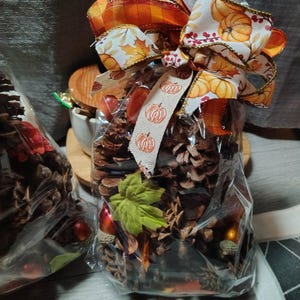 May include: A clear plastic bag filled with brown pinecones, small red and orange decorative acorns, and a green fabric leaf. The bag is tied at the top with a multi-layered ribbon featuring orange plaid, white pumpkin patterns, and a tan pumpkin print.
