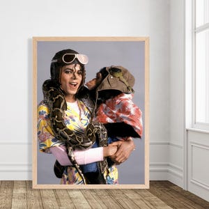 May include: A framed photograph featuring a person wearing a brown aviator cap with goggles, a yellow patterned shirt, and a pink long-sleeve undershirt, holding a chimpanzee in a matching aviator cap and patterned jacket, with a large snake.