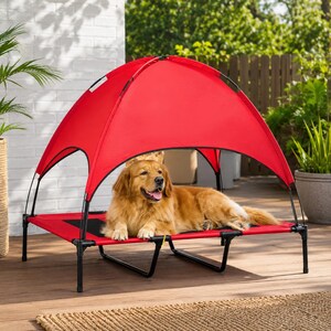 May include: A golden retriever dog lying on a raised pet bed with a red canopy. The bed features a black mesh center panel, a red fabric border, and a black metal frame. The canopy is supported by black poles and provides shade over the dog.