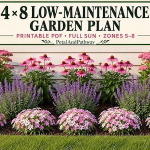 Può includere: Un piano di giardinaggio digitale intitolato 4x8 LOW-MAINTENANCE GARDEN PLAN, PRINTABLE PDF, FULL SUN, ZONES 5-8, PetalAndPathway. L'immagine mostra un'aiuola con echinacee rosa, salvia viola e fiori bassi di colore rosa e bianco.
