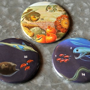 Fish 2.25&quot; Magnet Set - Set Of Three Includes Organza Bag - Ready To Ship