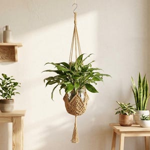 Può includere: Un portapiante in macramè color beige con intricati motivi a nodi e una nappa decorativa sul fondo. Il supporto sostiene un vaso in vetro trasparente contenente una rigogliosa pianta verde dalle foglie appuntite, appeso a un gancio metallico.
