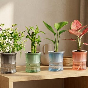 Självbevattnande kruka, transparent dubbelskiktad växtkruka, hydroponisk blomkruka för inomhusbruk, modern kontorskruka, inomhusväxtdekor, present