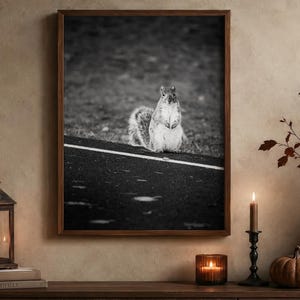May include: A black and white framed wall art print featuring a squirrel standing on a paved path with a white line. The squirrel is positioned in the center of the frame, facing forward with its tail curled behind it against a blurred background.