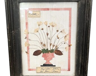 May include: A framed botanical artwork featuring pressed light-colored flowers in a pink vase. The piece includes a pink rectangular border, a small label reading "Creuse" at the top, and a larger label at the bottom with handwritten text.