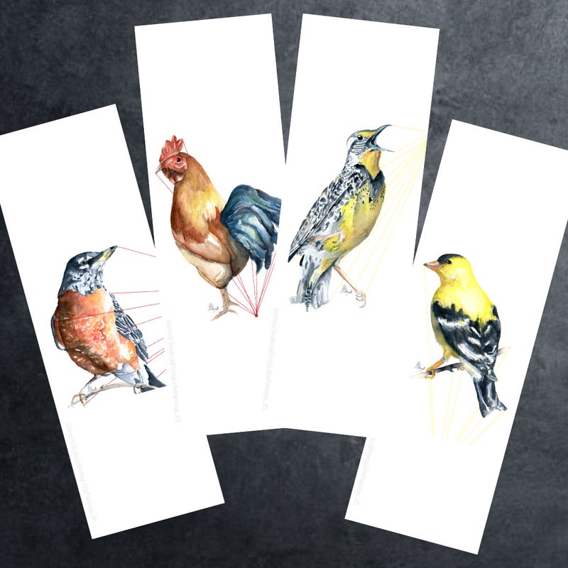 Watercolor Birds Bookmark - Etsy