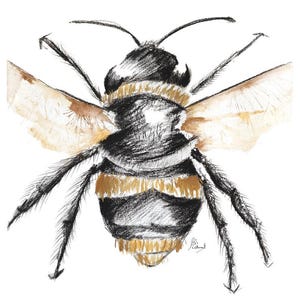 Bumblebee Drawing | Honey Bee Painting | Wall Art | Art Print | Charcoal Drawing | Gold Ink