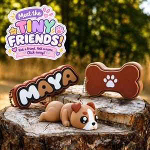 May include: A brown and white dog figurine with large eyes, a brown bone-shaped case with a white paw print, and a brown rectangular case with the name MAYA in white and brown letters. A sticker above reads Meet the TINY FRIENDS! Pick a friend. Add a name. Click away!