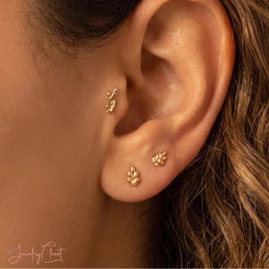 Könnte beinhalten: Drei goldfarbene Ohrringe in Form von kleinen Blättern oder Zweigen. Ein Ohrring befindet sich im Tragus-Bereich, während zwei passende blattförmige Ohrringe am Ohrläppchen platziert sind. Der Schmuck hat eine polierte metallische Oberfläche.
