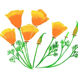 California Poppy Wall Art - Flower -Nature-Digital Giclee Print -Home Decor