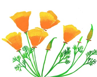 California Poppy Wall Art - Flower -Nature-Digital Giclee Print -Home Decor