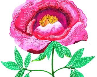 Pink Peony Print - Wall Art