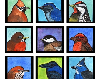 Birds of California - Giclee print - Wall Art