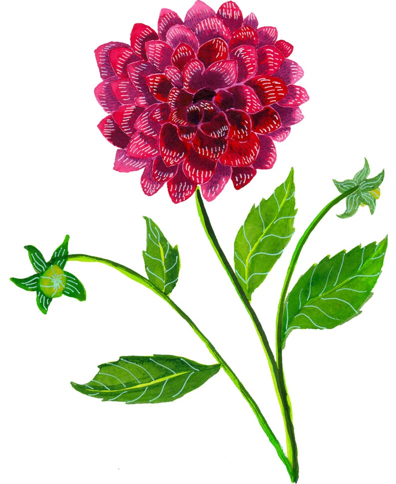 Flower Garden Greeting Cards boxed Set of 6 Gift Box Etsy