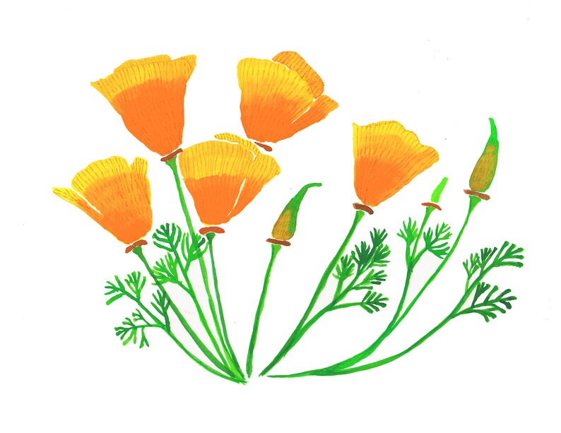 California Poppies Greeting Card image 2