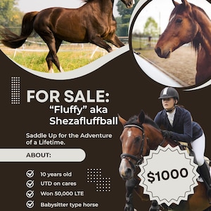 May include: A promotional flyer for a brown horse named Fluffy, featuring images of the horse running and being ridden by a person in equestrian gear. The text includes FOR SALE: Fluffy aka Shezafluffball, 10 years old, UTD on cares, Won 50,000 LTE.