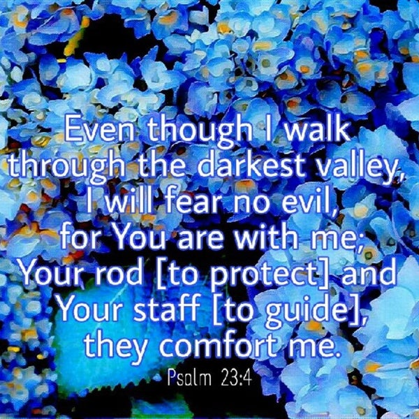 Fear no evil, God is guiding us Psalm 23:4 - digital art - Scripture Art 8x10, 5x7 and 4x6 - Print it yourself.