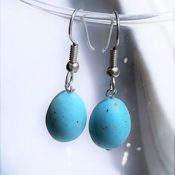 Robins eggs Dangle Earrings about 1/2" dangle. Bird egg earrings. Speckled egg earrings.  Free Shipping