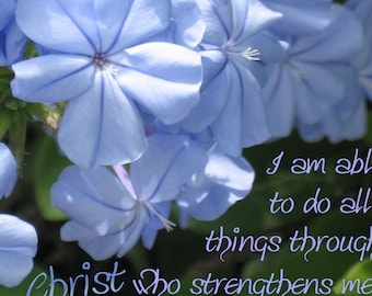 Square Plumbago Photo with Scripture - I can do all things through Christ who gives me strength - Philippians 4:13 with free shipping