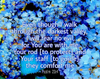 Fear no evil, God is guiding us Psalm 23:4 - digital art - Scripture Art 8x10, 5x7 and 4x6 - Print it yourself.