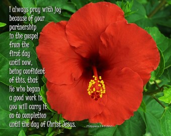 Philippians 1:4-6 (NIV) - Red Hibiscus with Scripture - He who began a good work in you will carry it on to completion - free shipping