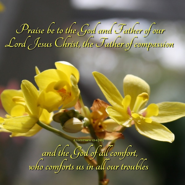 God comforts you - 2 Corinthians 1:3-4 (NIV) - yellow Flower Scripture art, pick your size, free shipping