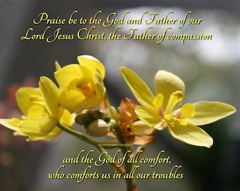 God comforts you - 2 Corinthians 1:3-4 (NIV) - yellow Flower Scripture art, pick your size, free shipping