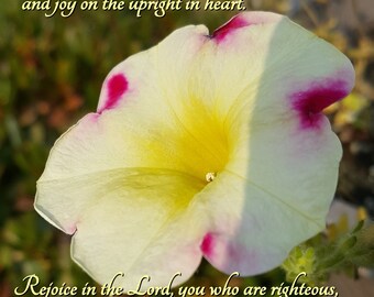 God guards you and delivers you - Psalm 97:10-12 - yellow with pink Petunia Flower Scripture art, pick your size, free shipping