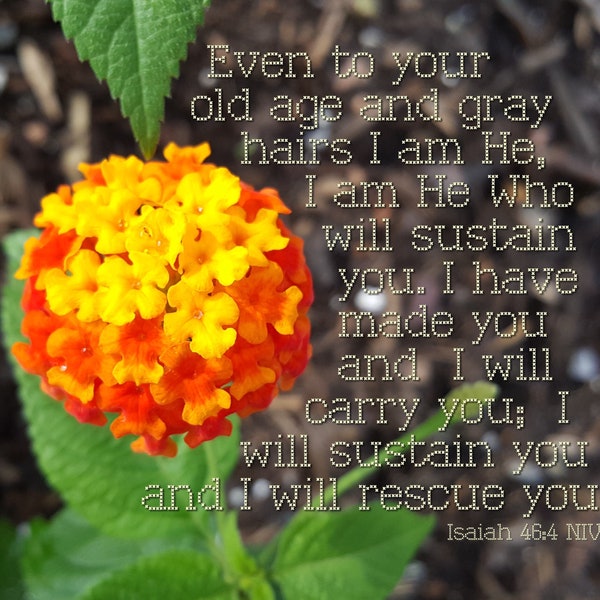 God will carry you - Isaiah 46:4 - Lantana Flower Scripture art, pick your size, free shipping