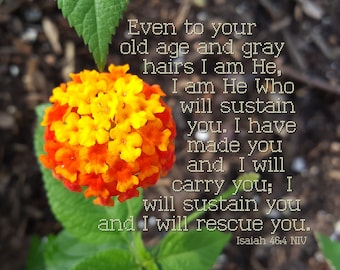 God will carry you - Isaiah 46:4 - Lantana Flower Scripture art, pick your size, free shipping