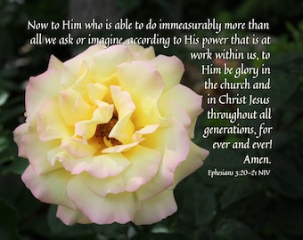 God is able to do immeasurably more than you can imagine - Scripture Art  - Yellow with pink Rose - free shipping - choose your size