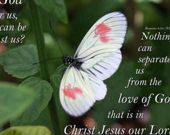Christian Photograph Etsy