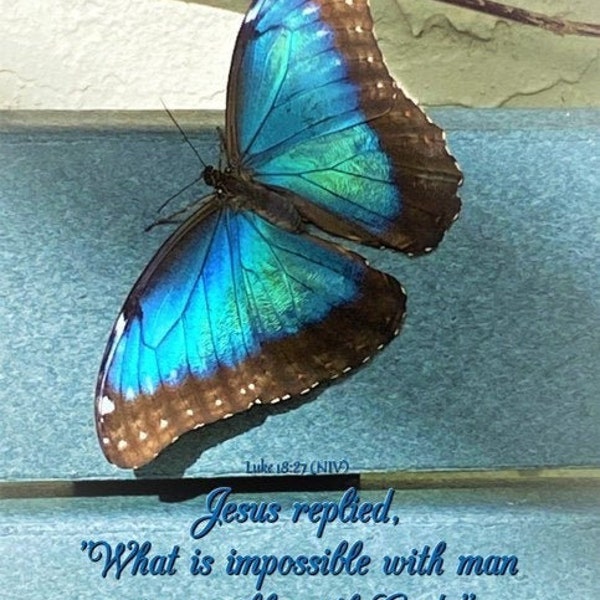 What is impossible with man is possible with God - butterfly inspirational picture - be encouraged! - select size - free shipping