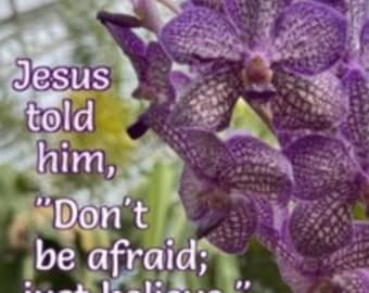 Jesus told him, “Don’t be afraid; just believe.” - Scripture Art - orchid picture - select a size photo with free shipping