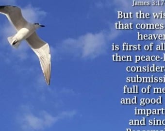 Wisdom from above - Bird with Scripture James 3:17-18 - select a size photo with free shipping