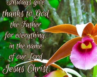 Always give thanks to God the Father for everything - Ephesians 5:20 - Scripture Art - orchid picture - select a size photo