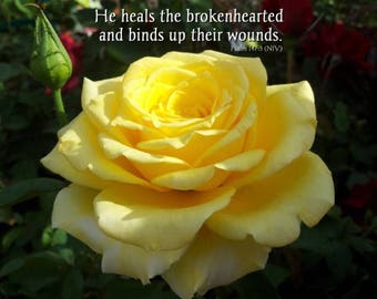 God heals the brokenhearted - Psalm 147:3  Scripture Art  - Yellow Rose - free shipping - choose your size