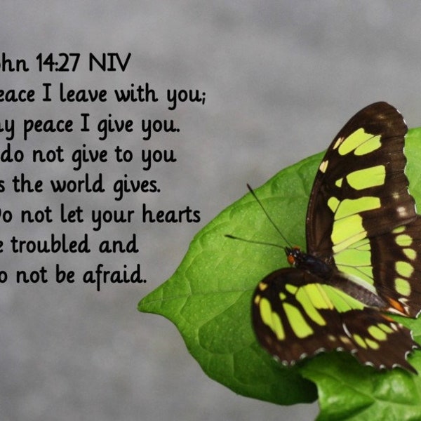 Peace I leave with you - John 14:27 - Malachite butterfly inspirational picture - select size - free shipping