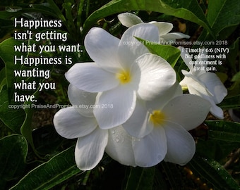 Contentment is great gain - 1 Timothy 6:6 (NIV) - White Flower Scripture art, pick your size, free shipping