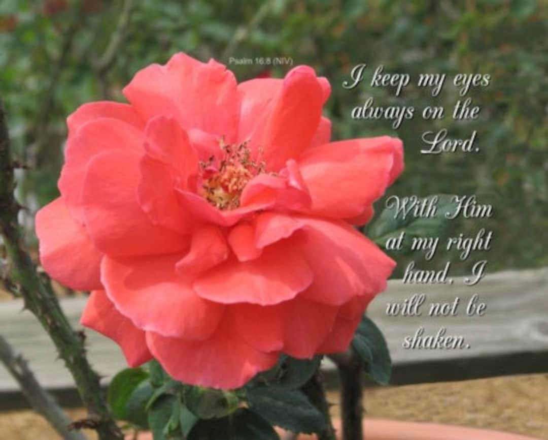 I Keep My Eyes Always on the Lord. I Will Not Be Shaken. Scripture Art