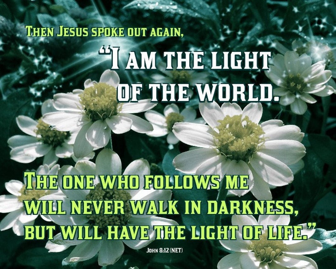 Let Your Light Shine or Jesus is the Light of the World - Daisies ...
