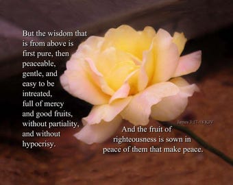 James 3:17-18 (KJV) Pure Wisdom From Above - Yellow and Pink Rose Scripture Art -  select a size photo with free shipping