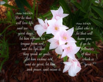 1 Peter 3:10-11 and 13 KJV - to see good days, speak no evil, do good, seek peace - scripture art -select a size photo with free shipping
